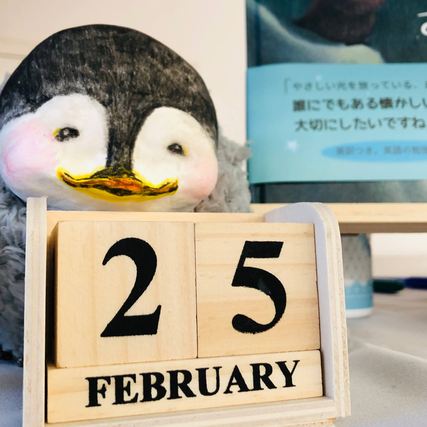 いちどきりのおくりもの展25日受付